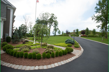 Asphalt Driveway with Curbing