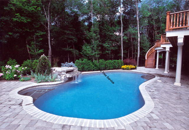 swimming pool with rock waterfalls feature and raised deck