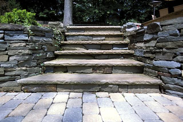 STEPS 7