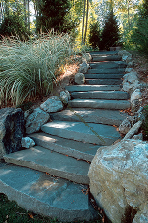 STEPS 8